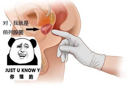 圖解姿勢:直男的前列腺高潮體驗