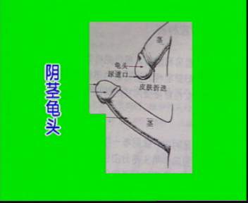 兩性