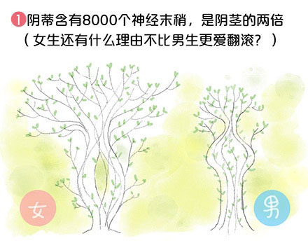陰道長啥樣?看完這幾張圖就瞭解!
