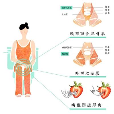 性愛肌怎樣練陰道粉嫩又緊致?