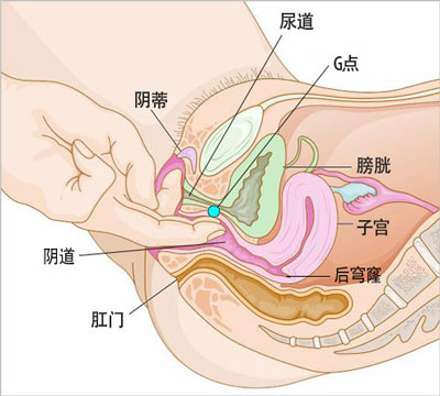妹子:陰蒂高潮陰道高潮真實感受