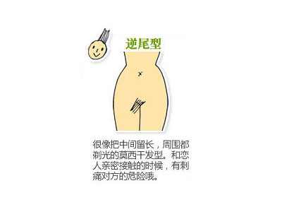 圖解:私處陰毛形狀跟性快感有關嗎