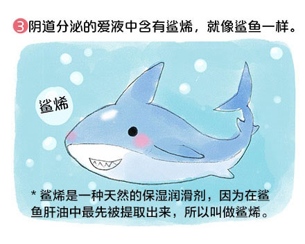 陰道長啥樣?看完這幾張圖就瞭解!
